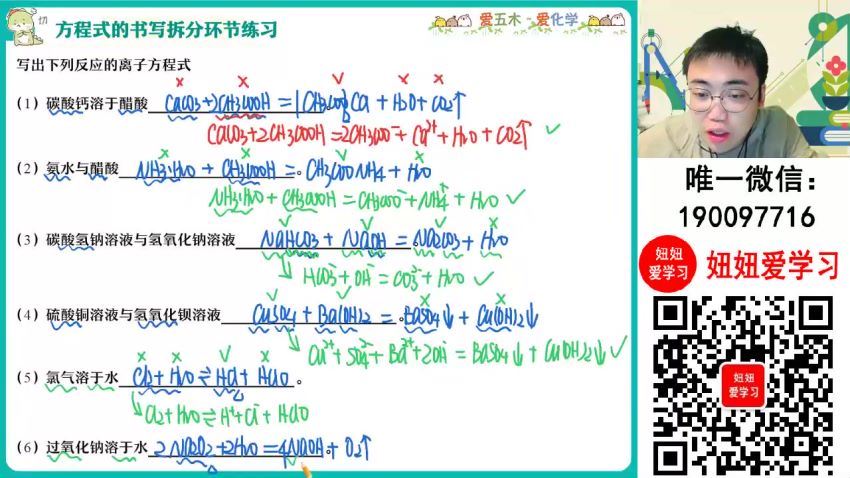 【2023秋下】高一化学 林森 A+ (13.87G)