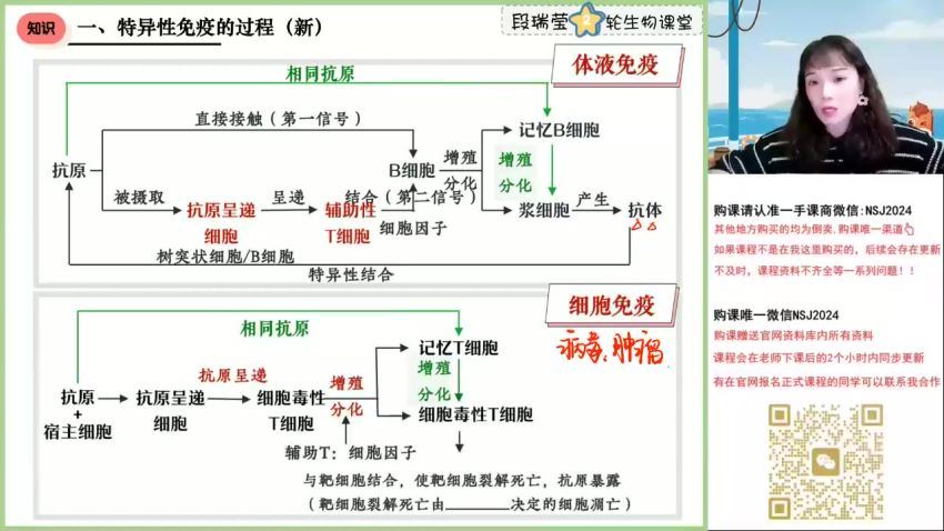 2024高三段瑞莹生物全年班 (13.25G)