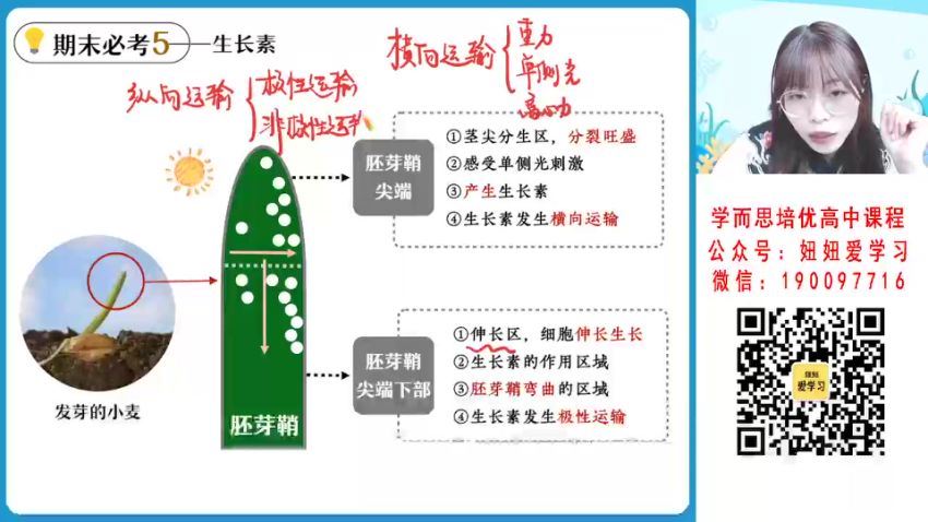 作业帮：【2023寒】高二生物谢一凡A+ 19 (4.97G)