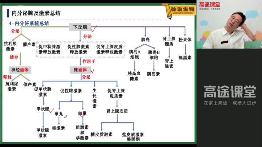 高途2022高三生物徐京秋季班，高考生物复习课程5.63G高清视频 (5.64G)
