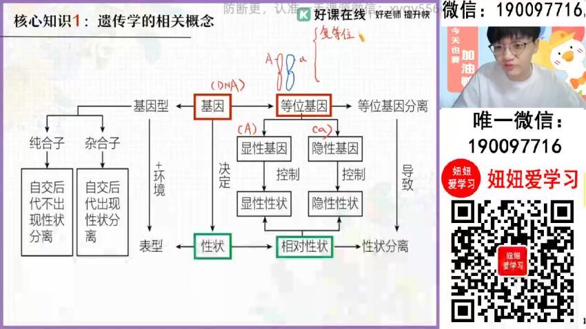 【2024春】高一生物 邓康尧 A+ (3.65G)