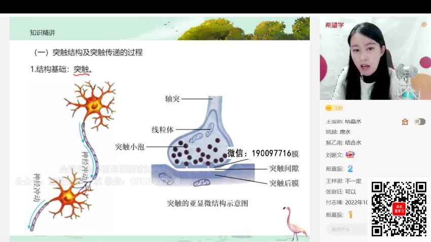 学而思希望学：【2022秋】高二生物S班 段麟飞 (12.70G)