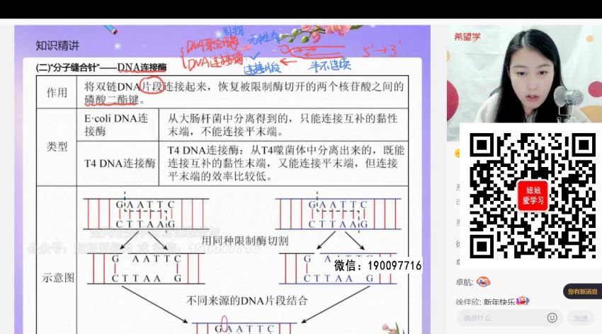 学而思希望学：【2023春上】高二生物A+班 段麟飞 (12.65G)