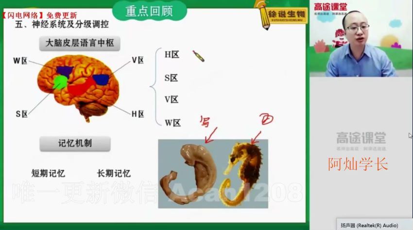 高途课堂 徐京【2021-秋】高二生物秋季班百度云网盘 (5.47G)