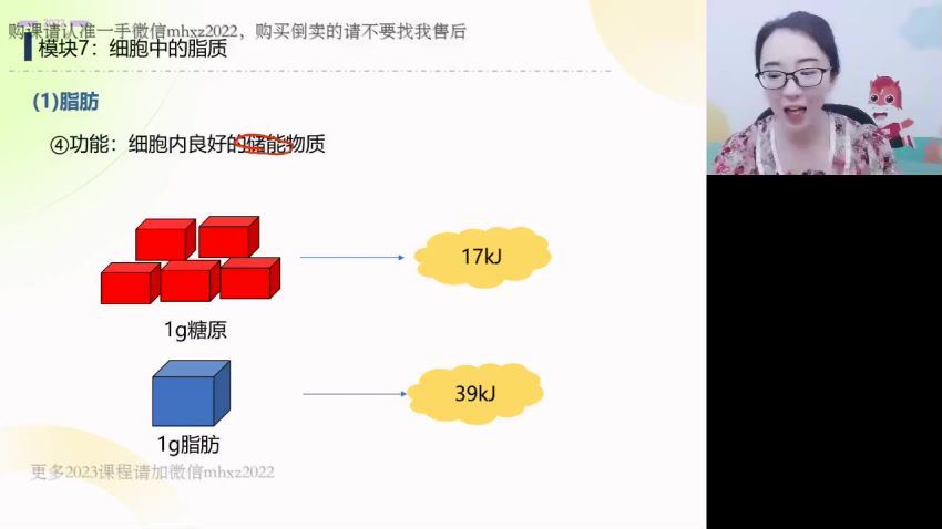 2023高一高途生物马阳洋暑假班（完结） (1.85G)