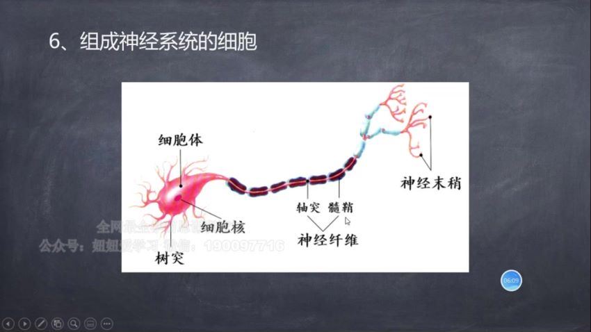 2022秋高中期中提升课 (3.27G)