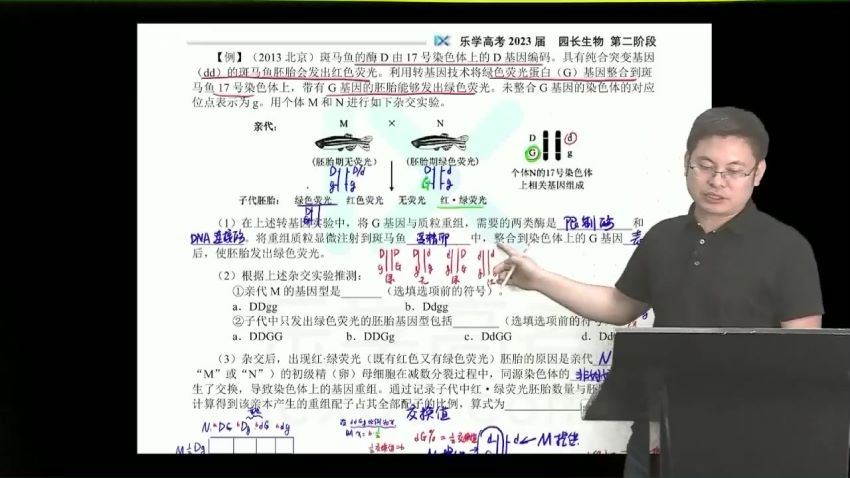 2023高三乐学生物任春磊第二阶段(一轮)（完结） (21.44G)