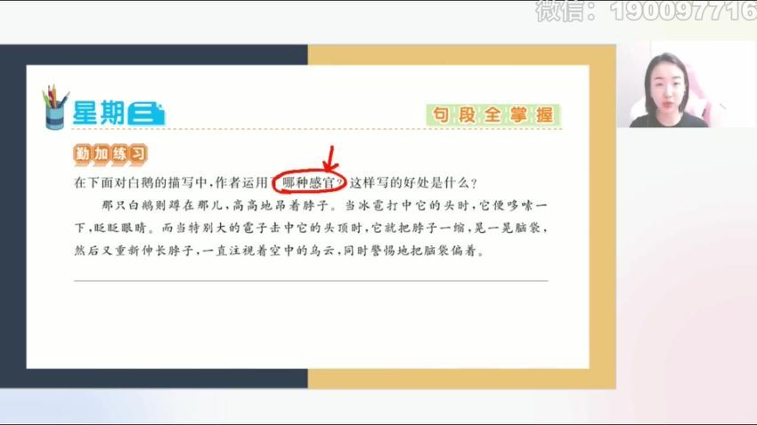 学而思希望学：【完结】【2023秋】四年级语文校内VIP学习卡 (3.17G)