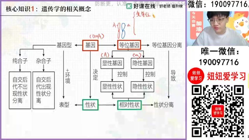 作业帮：【2024春】高一生物 邓康尧 A+ (4.80G)