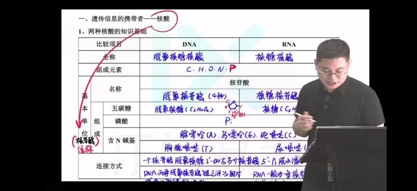 2023高三乐学生物任春磊第一阶段(一轮)（完结） (11.57G)